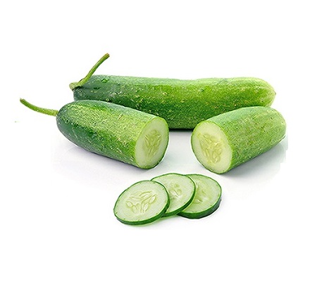 מלפפון חממה גרינברג